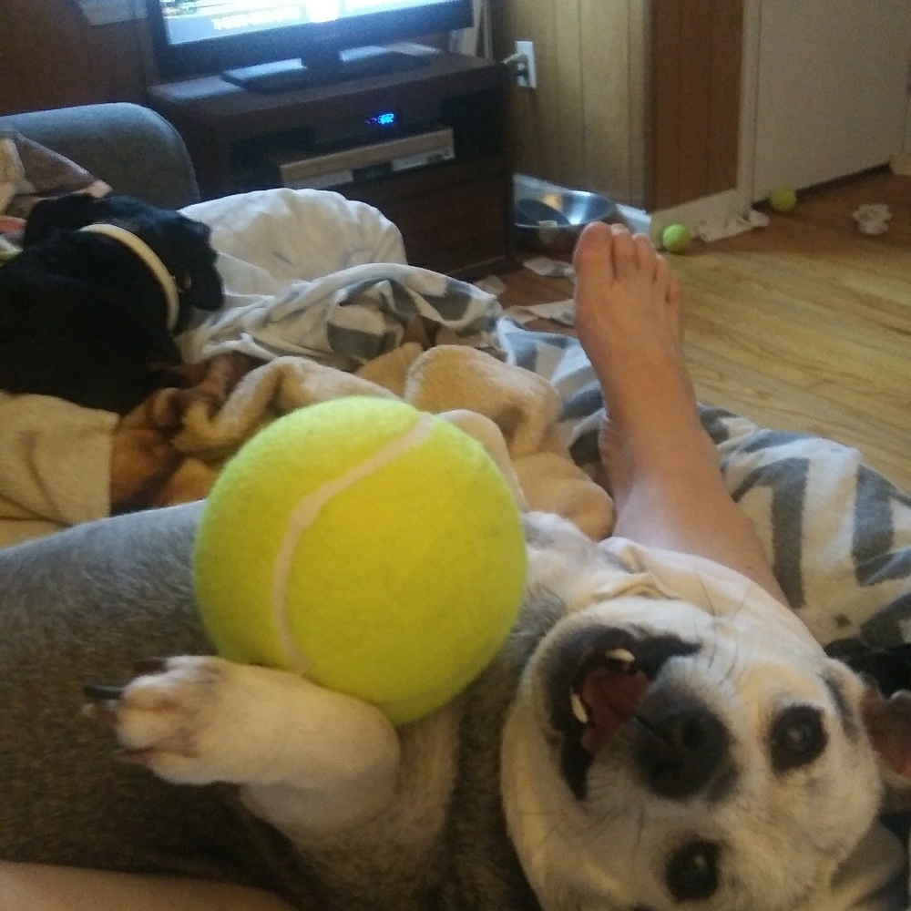 Meet your Posher, June